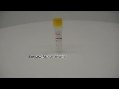 Foreasy RNase Inhibitor