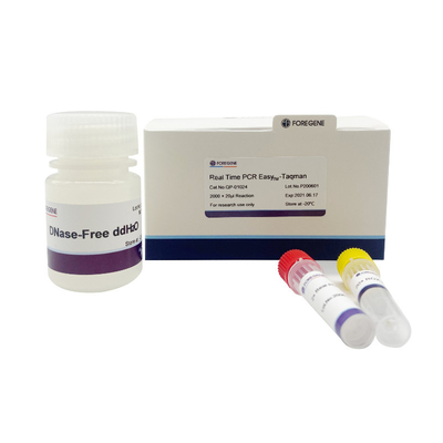 High Sensitivity Real Time PCR EasyTM-Taqman For Real Time PCR Amplification Reaction