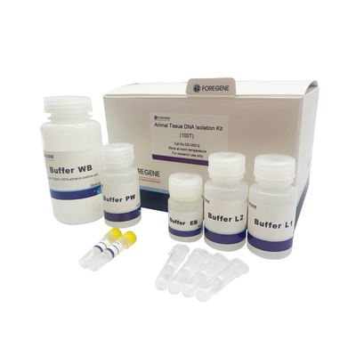 Fast Genomic DNA Purification Lab Reagent Animal Tissue DNA Isolation Kit No RNase Contamination