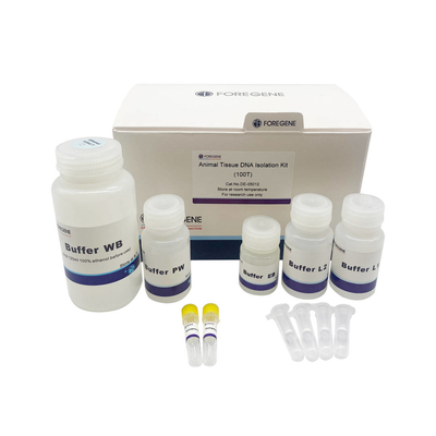 Fast Genomic DNA Purification Lab Reagent Animal Tissue DNA Isolation Kit No RNase Contamination