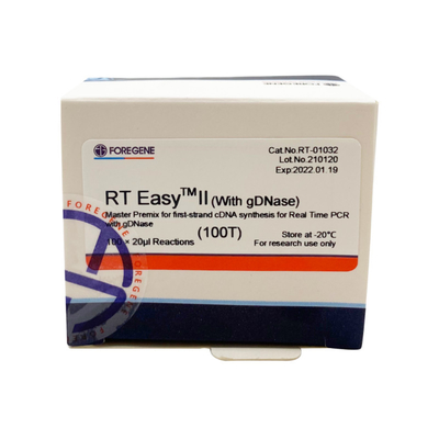 RT EasyTM II With Reverse Transcription Primers To Use Master Premix For First-Strand CDNA Synthesis / Real Time PCR