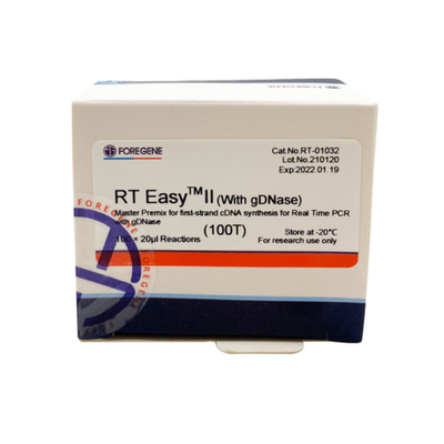 RT EasyTM II With Reverse Transcription Primers To Use Master Premix For First-Strand CDNA Synthesis / Real Time PCR