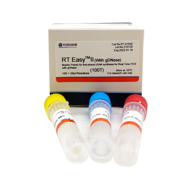 RT EasyTM II With Reverse Transcription Primers To Use Master Premix For First-Strand CDNA Synthesis / Real Time PCR
