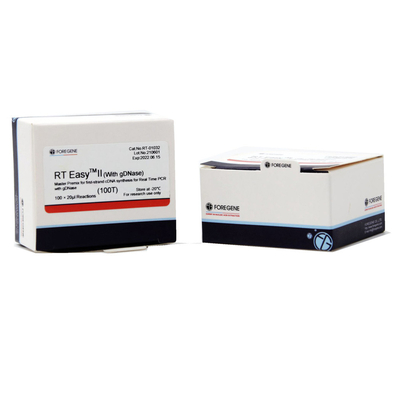 RT Easy II Master Premix For First Strand CDNA Synthesis With GDNase