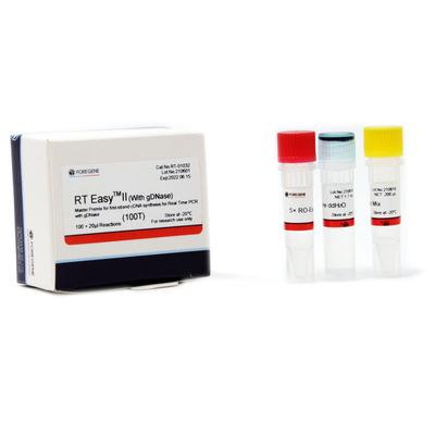 RT Easy II Master Premix For First Strand CDNA Synthesis With GDNase