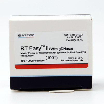 RT Easy II Master Premix For First Strand CDNA Synthesis With GDNase