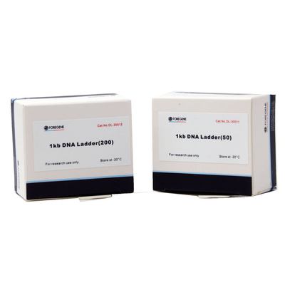 Agarose Gel Electrophoresis Use DNA Ladder With Sizes Ranging From 1 Kb To 8 Kb