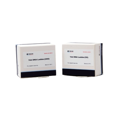 1 Kb DNA Ladder For DNA Fragment Electrophoresis Detection Scientific Research Use