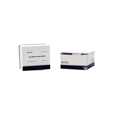 1 Kb DNA Ladder For DNA Fragment Electrophoresis Detection Scientific Research Use