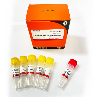 Foreasy M-MLV Reverse Transcriptase For CDNA Synthesis Primer Extension PCR Kits With DNA Polymerase