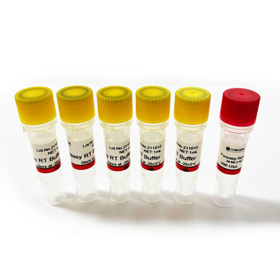 Foreasy M-MLV Reverse Transcriptase For CDNA Synthesis Primer Extension PCR Kits With DNA Polymerase