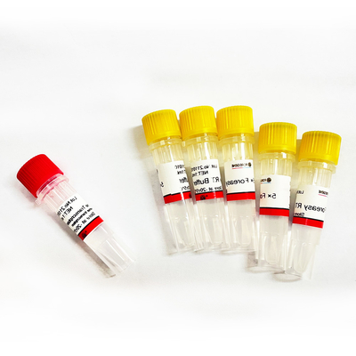 Foreasy M-MLV Reverse Transcriptase For CDNA Synthesis Primer Extension PCR Kits With DNA Polymerase