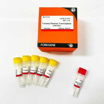 Foreasy M-MLV Reverse Transcriptase For CDNA Synthesis Primer Extension PCR Kits With DNA Polymerase
