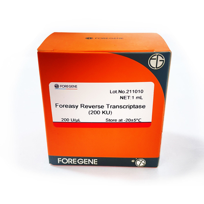 Foreasy M-MLV Reverse Transcriptase For CDNA Synthesis Primer Extension PCR Kits With DNA Polymerase