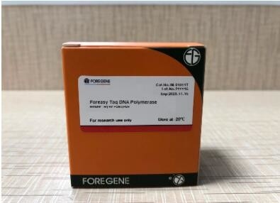 Foreasy Taq DNA Polymerase HotStar Taq For PCR/QPCR Taq Enzyme Pcr Kits For Dna Sequencing Conventional Pcr