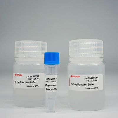 Foreasy Taq DNA Polymerase HotStar Taq Polymerase Kit For PCR/QPCR