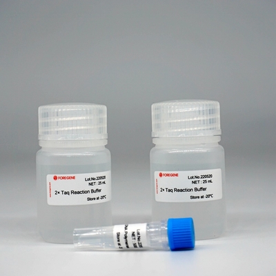 Foreasy Taq DNA Polymerase HotStar Taq Polymerase Kit For PCR/QPCR