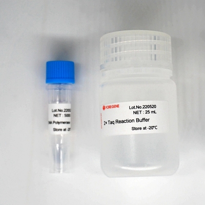 Foreasy Taq DNA Polymerase HotStar Taq Polymerase Kit For PCR/QPCR