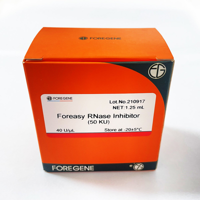 China IVD Factory High Production Foreasy RNase Inhibitor For RNA Protection