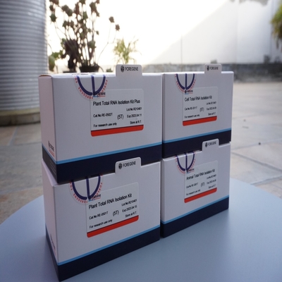 Remove Air Solid Surface RNase Contamination RNase Eraser Quickly Effectively