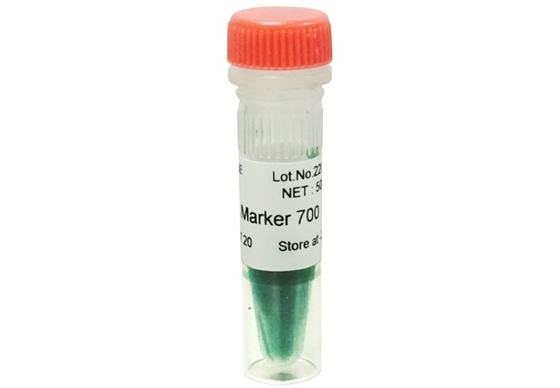 DNA Marker Agarose Gel PCR Kit DNA Ladder 700bp For Molecular Biology Tests