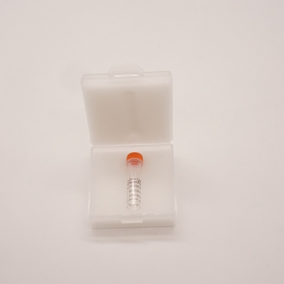 BCL6 Dual Color Break Apart Probe For Detecting Abnormality Of Human BCL6 Gene
