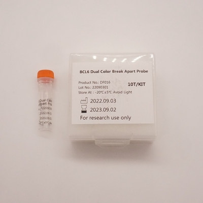 BCL6 Dual Color Break Apart Probe For Detecting Abnormality Of Human BCL6 Gene