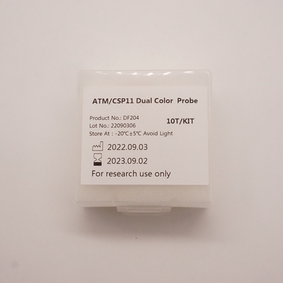 ATM/CSP11 Dual Color Probe For Detecting Abnormality Of Human ATM(11q22) Gene