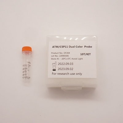 ATM/CSP11 Dual Color Probe For Detecting Abnormality Of Human ATM(11q22) Gene