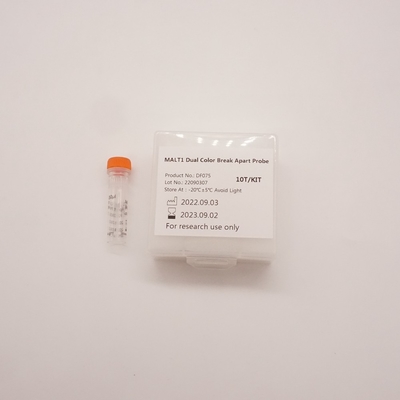 MALT1 Dual Color Break Apart Probe For Detecting Abnormality Of Human MALT1 Gene