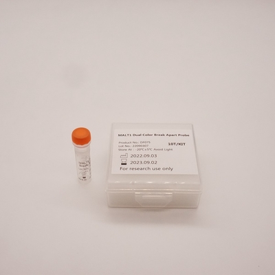 MALT1 Dual Color Break Apart Probe For Detecting Abnormality Of Human MALT1 Gene