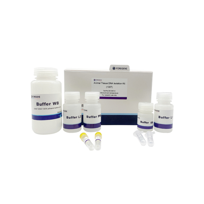Spin Column Plant Tissue DNA Isolation Kit 50T 100T 250 Preps