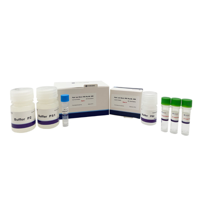 200 Tests Packing Plant Leaf Direct PCR Reagent Kit With UNG High Effective