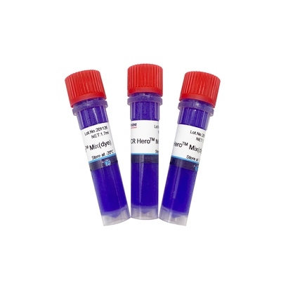 Fast Reagent PCR Kits With Dye PH-01013-B PCR Mix 3*1.7ml 50ml
