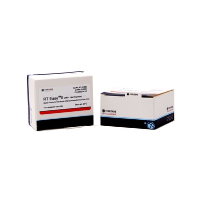 Foregene Reverse Transcription Kits First Strand High Sensitive RT Kit