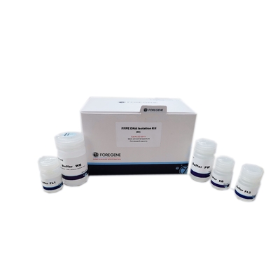 Fast Lab Regeant FFPE DNA Isolation Kits 50T 100T Without RNase Contamination