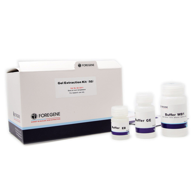 Foregene DNA Gel Extraction Kit High Recovery For Lab Use Reagent