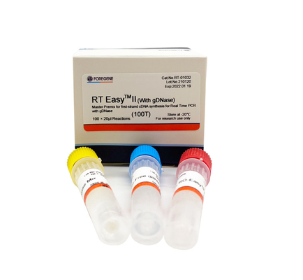 Fast RT Easy II 25T  Reverse Transcriptase Kits With DNase For Real Time PCR