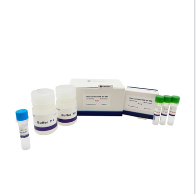 Buffer P1 Buffer P2 Plant Leaf Direct PCR One Step 2X Mix