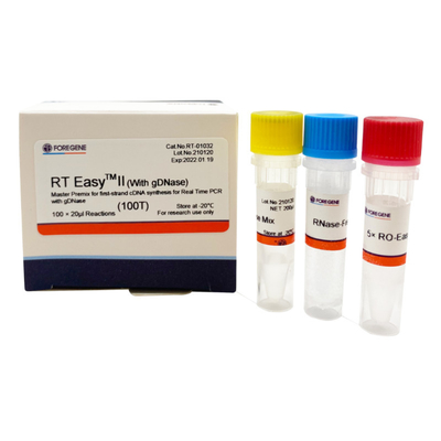 Master Premix Reverse Transcription Kits Real Time PCR Kits With DNase