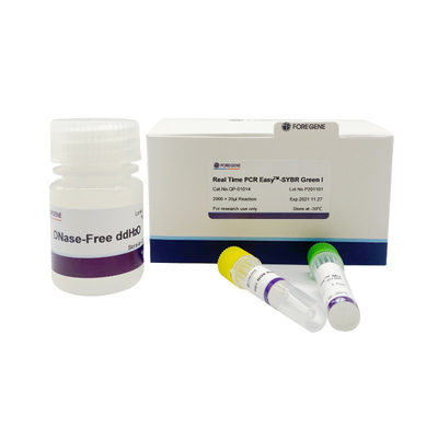 Real Time PCR EasyTM-SYBR Green I kit new premix system SYBR Green Fluorescent pcr Kit