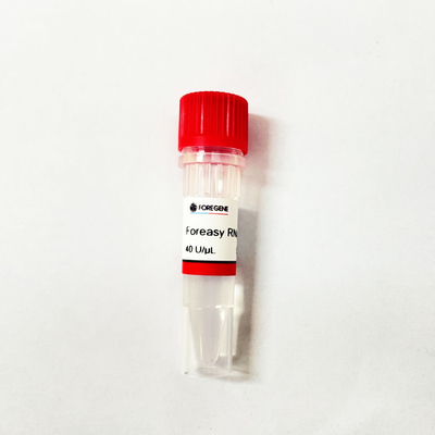 Sample nucleic acid release agent for DNA RNA Purification before Real Time PCR reaction