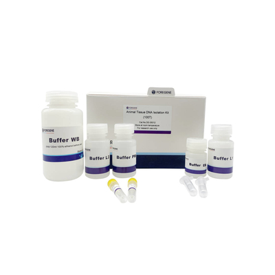 Fast And Simple Animal Tissue DNA Isolation Kit Purified For Cultured Cells