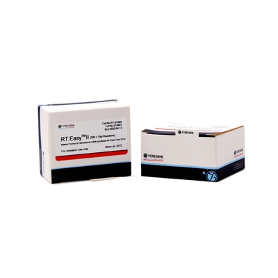 Reverse Transcription System RT Easy II Master Premix For Real Time PCR product cDNA synthesis