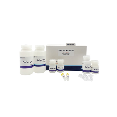 High DNA Yield Blood DNA Midi Kit DNA Extraction Kits
