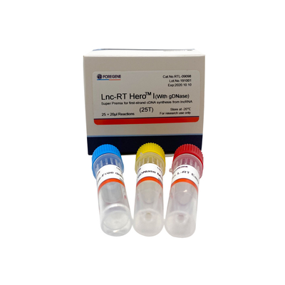 Lnc-RT HeroTM I With GDNase First Strand Cdna Synthesis Reverse Transcription System