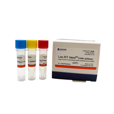 Lnc-RT HeroTM I With GDNase First Strand Cdna Synthesis Reverse Transcription System