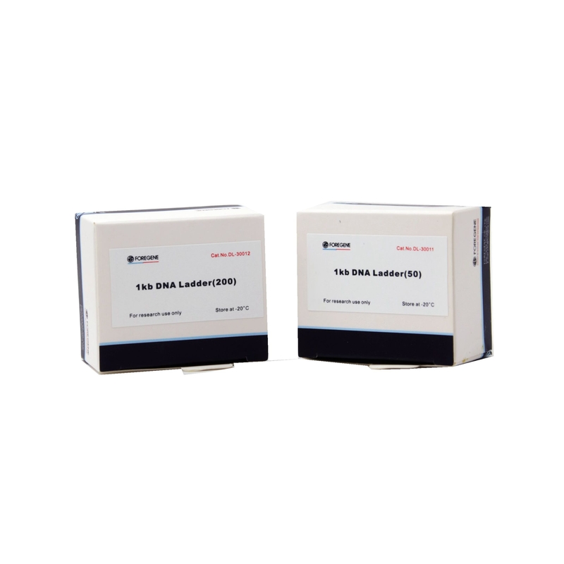 1 Kb DNA Ladder For DNA Fragment Electrophoresis Detection Scientific Research Use