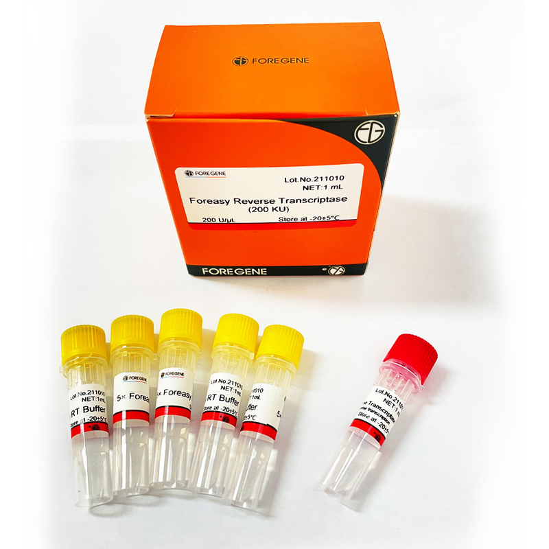 Foreasy M-MLV Reverse Transcriptase For CDNA Synthesis Primer Extension PCR Kits With DNA Polymerase