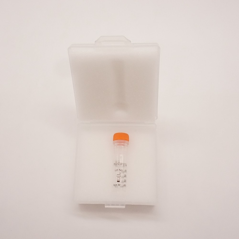 TP53/CSP17 Dual Color Probe For Detecting The Abnormality Of Human TP53 Gene